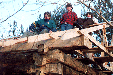 3 boys on a log cabin roof